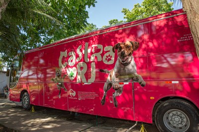 Castre seu pet de graça na Secretaria de Agricultura