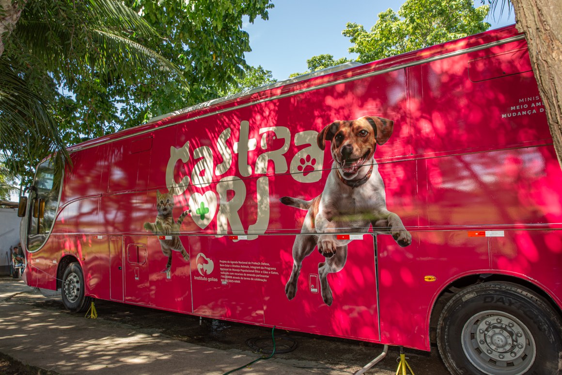 Castre seu pet de graça na Secretaria de Agricultura